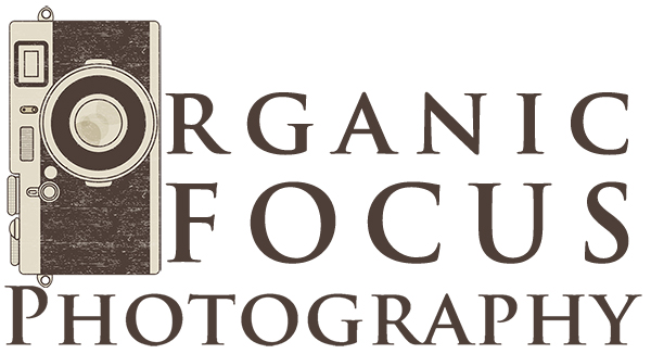 Organic Focus Photography ~ Snapping Wedding, Family, Pet and Commercial Photos Across Northeast Ohio